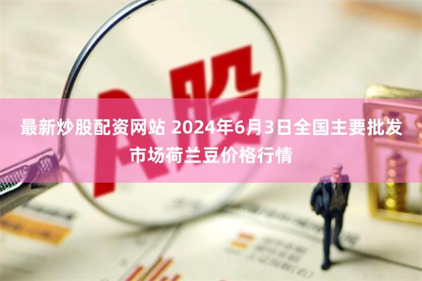 最新炒股配资网站 2024年6月3日全国主要批发市场荷兰豆价格行情