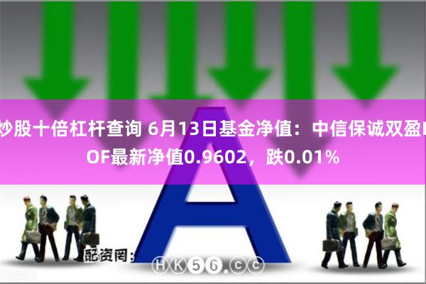 炒股十倍杠杆查询 6月13日基金净值：中信保诚双盈LOF最新净值0.9602，跌0.01%