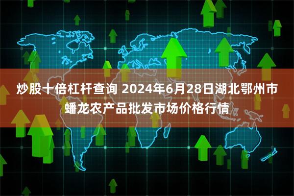 炒股十倍杠杆查询 2024年6月28日湖北鄂州市蟠龙农产品批发市场价格行情