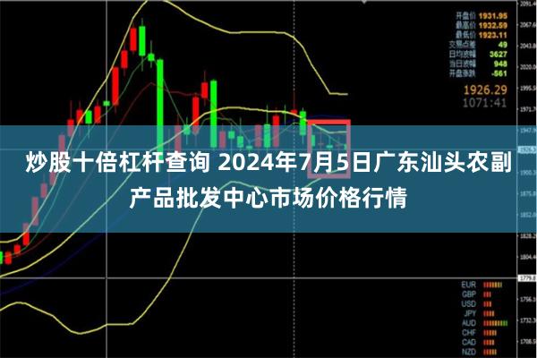 炒股十倍杠杆查询 2024年7月5日广东汕头农副产品批发中心市场价格行情