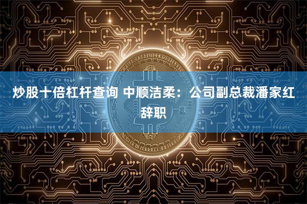 炒股十倍杠杆查询 中顺洁柔：公司副总裁潘家红辞职