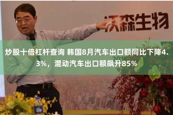 炒股十倍杠杆查询 韩国8月汽车出口额同比下降4.3%，混动汽车出口额飙升85%