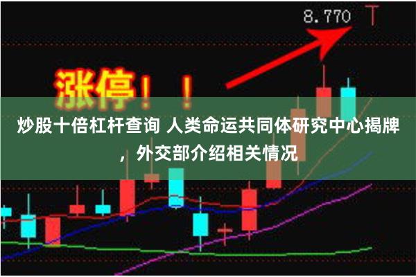 炒股十倍杠杆查询 人类命运共同体研究中心揭牌，外交部介绍相关情况